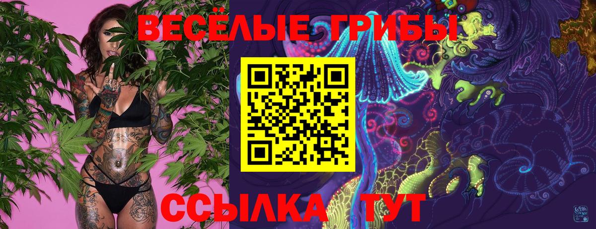 Псилоцибиновые грибы Psilocybine cubensis Ишимбай