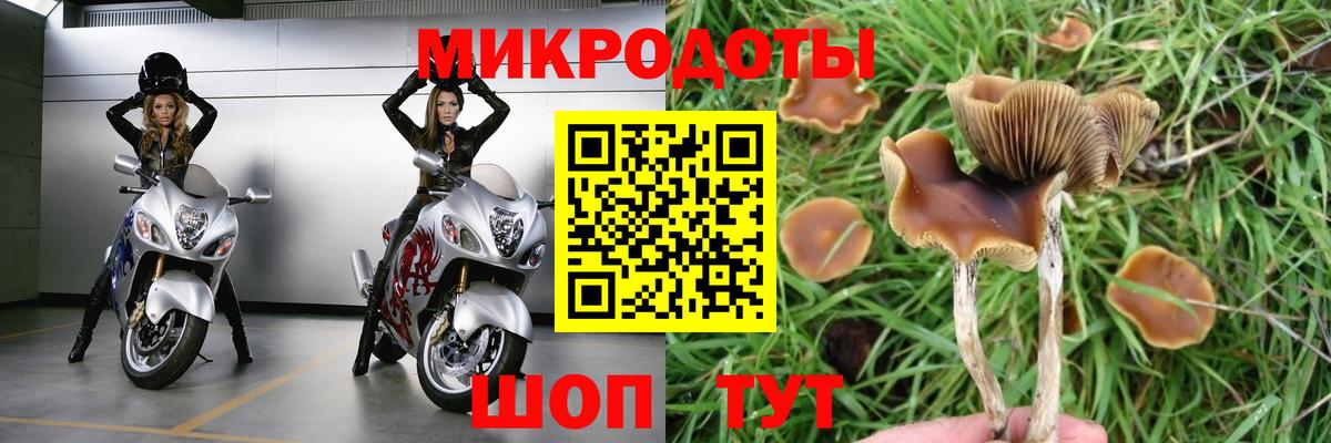 Галлюциногенные грибы Psilocybe  Псилоцибиновые грибы MAGIC MUSHROOMS  Ишимбай  Вход с VPN 